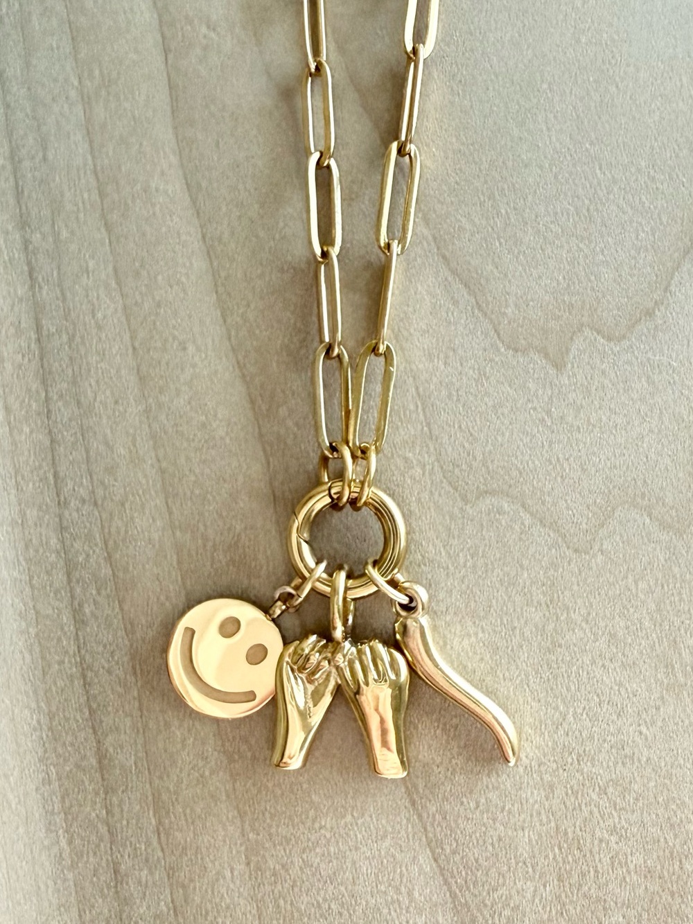 18K Gold PVD Stainless Steel Italian Horn Charm Holder Necklace NWT - Picture 3 of 7